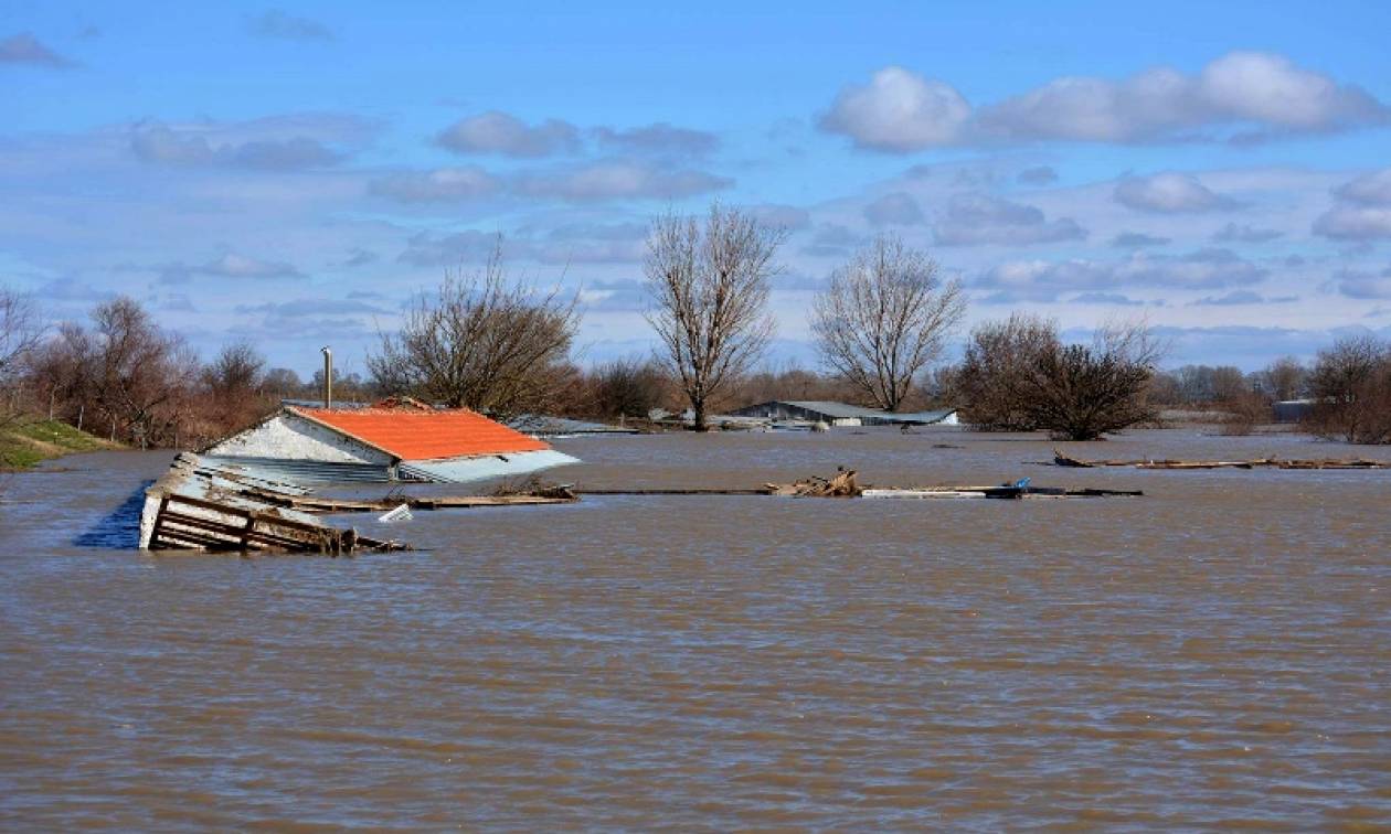 Συναγερμός στους ποταμούς Έβρο και Άρδα: Ξεπέρασε το όριο επικινδυνότητας η στάθμη του νερού
