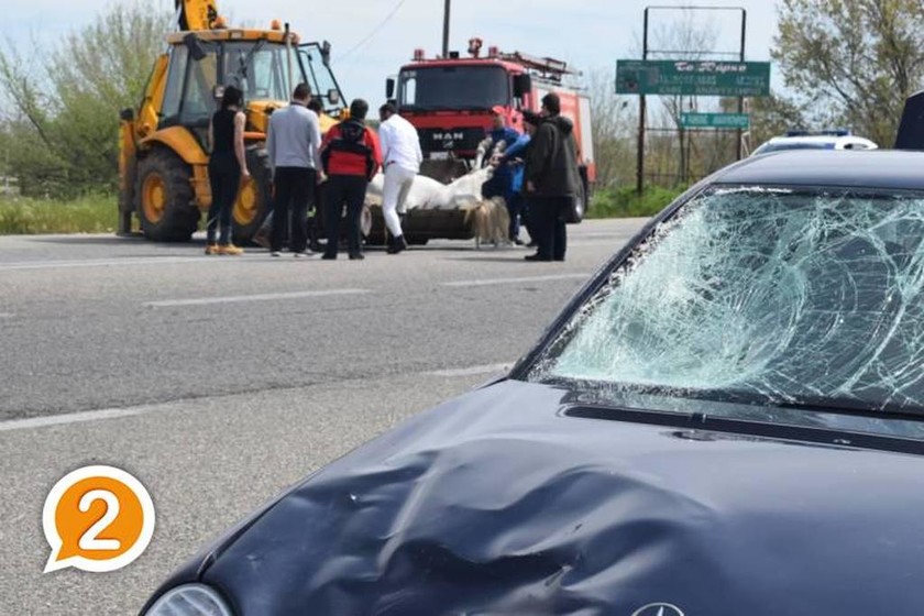Σοβαρό τροχαίο στην Ξάνθη: Άλογο συγκρούστηκε με αυτοκίνητα (pics)