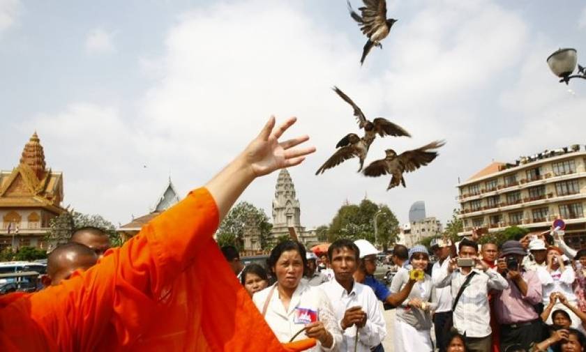 Καμπότζη: 7.000 σπάνια πουλιά γεννήθηκαν με ασφάλεια!
