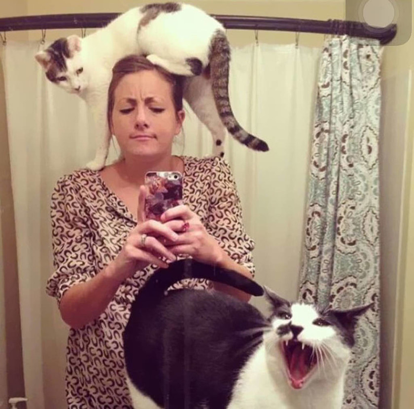 Viral: Όταν οι γάτες φέρονται σαν τα πιο «σατανικά» πλάσματα στον πλανήτη (Pics)