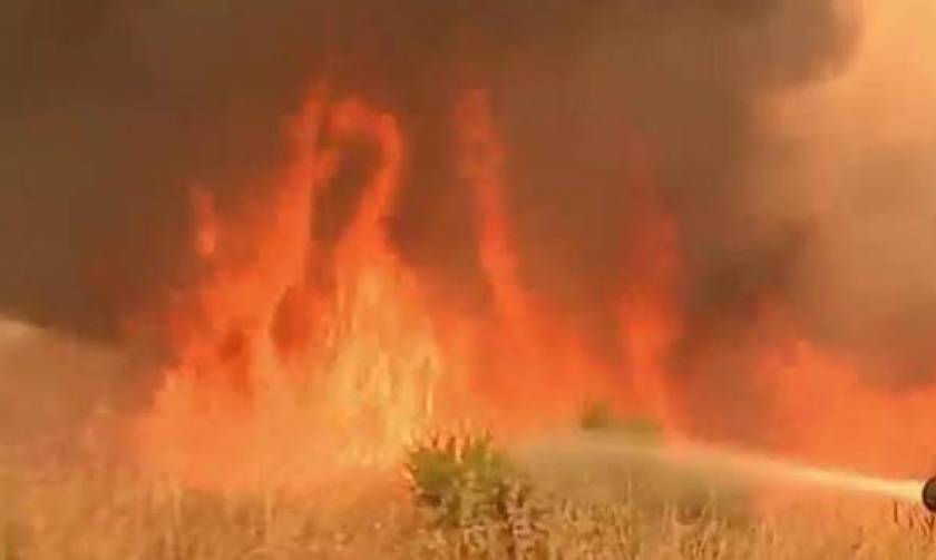 Καλιφόρνια: Μεγάλη φωτιά κοντά στην περιοχή όπου διεξάγεται το Coachella (vid)