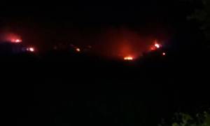 Φωτιά: Πύρινος «εφιάλτης» σε Ηλεία και Αρκαδία (pics+vid)