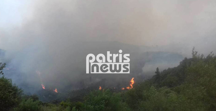 ΕΚΤΑΚΤΟ - Φωτιά: Εκκενώνονται σπίτια στην Ηλεία - Πύρινος «εφιάλτης» στη Φρίξα (pics+vid)