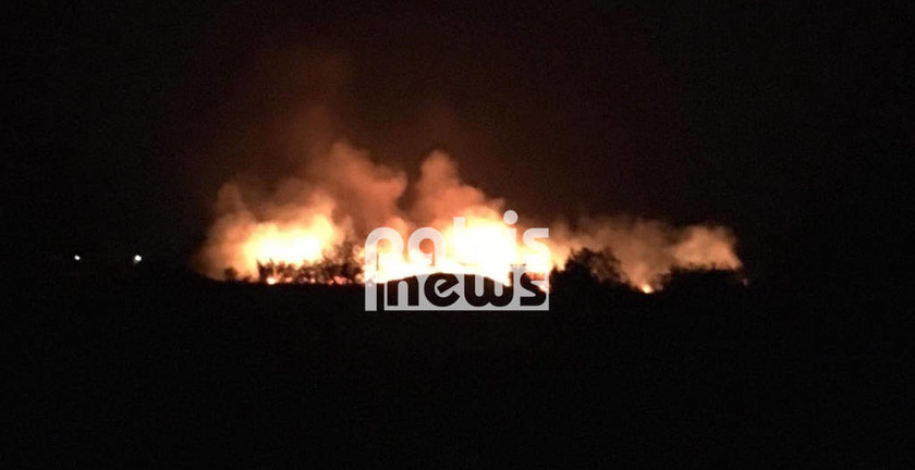ΕΚΤΑΚΤΟ - Φωτιά: Εκκενώνονται σπίτια στην Ηλεία - Πύρινος «εφιάλτης» στη Φρίξα (pics+vid)