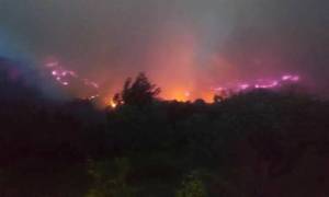 Φωτιά: Εκκενώνονται σπίτια στην Ηλεία - Πύρινος «εφιάλτης» στη Φρίξα (pics+vid)