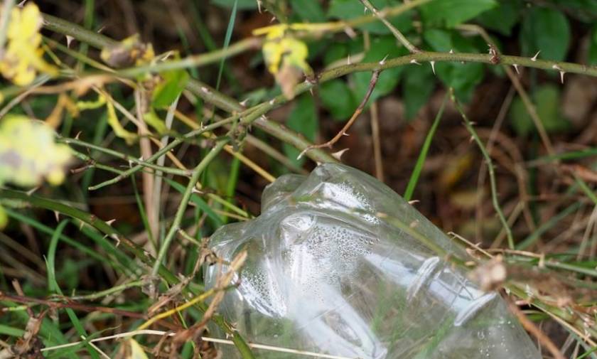 Τρομερή νίκη στη «μάχη» κατά της ρύπανσης: Δημιουργήθηκε ένζυμο που τρώει... πλαστικά μπουκάλια