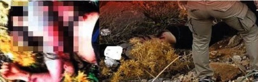 Κάλυμνος: Η φωτογραφία που αποκαλύπτει την άγρια δολοφονία του φοιτητή Νίκου Χατζηπαύλου