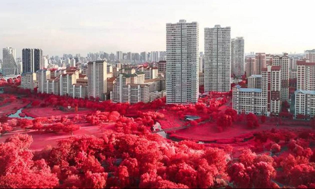 Κόκκινη φαντασμαγορία... λουλουδιών στη Σιγκαπούρη (pics)