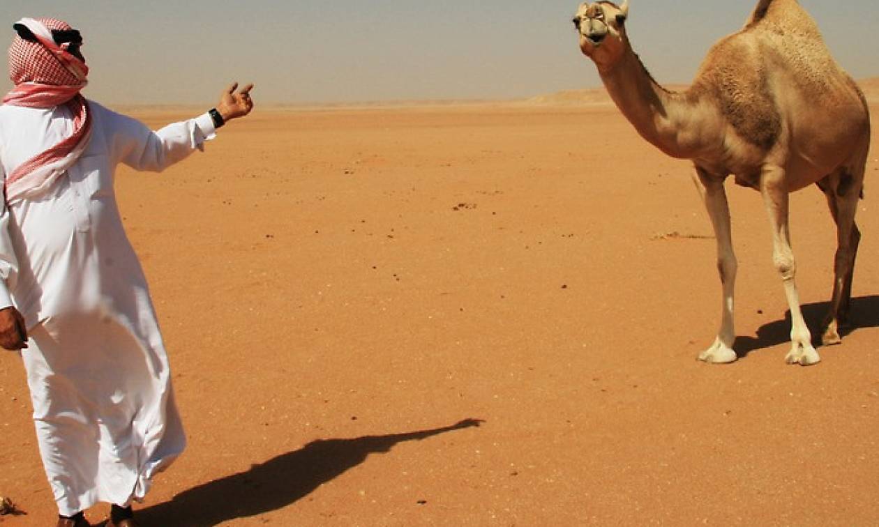 Απίστευτο: Σαουδάραβας πήγε για ψώνια με την καμήλα του (vid)