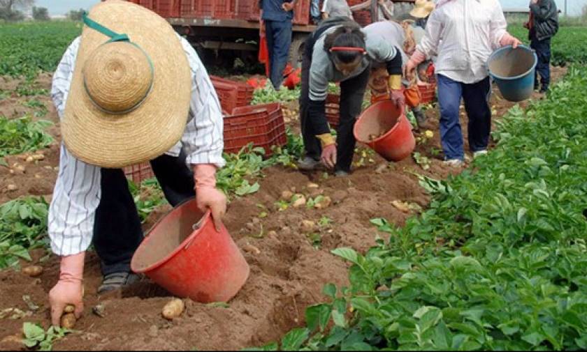 Αγρότες: Σύνταξη στα 67 και άμεση έναρξη ασφάλισης