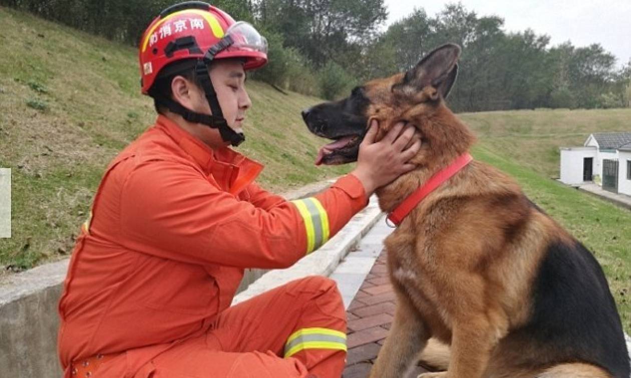 Ο σκύλος - ήρωας του σεισμού που έσωσε τη ζωή 13 ανθρώπων πριν από ακριβώς δέκα χρόνια (Pics+Vid)