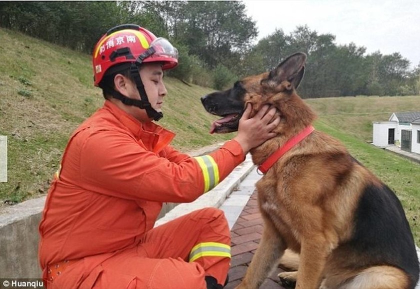 Ο σκύλος - ήρωας του σεισμού που έσωσε τη ζωή 13 ανθρώπων πριν ακριβώς δέκα χρόνια (Pics+Vid)