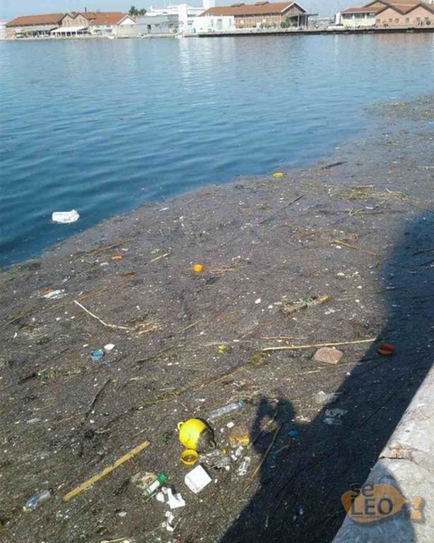 Εικόνες ντροπής στη Θεσσαλονίκη: Γέμισε σκουπίδια και πλαγκτόν ο Θερμαϊκός (pics)