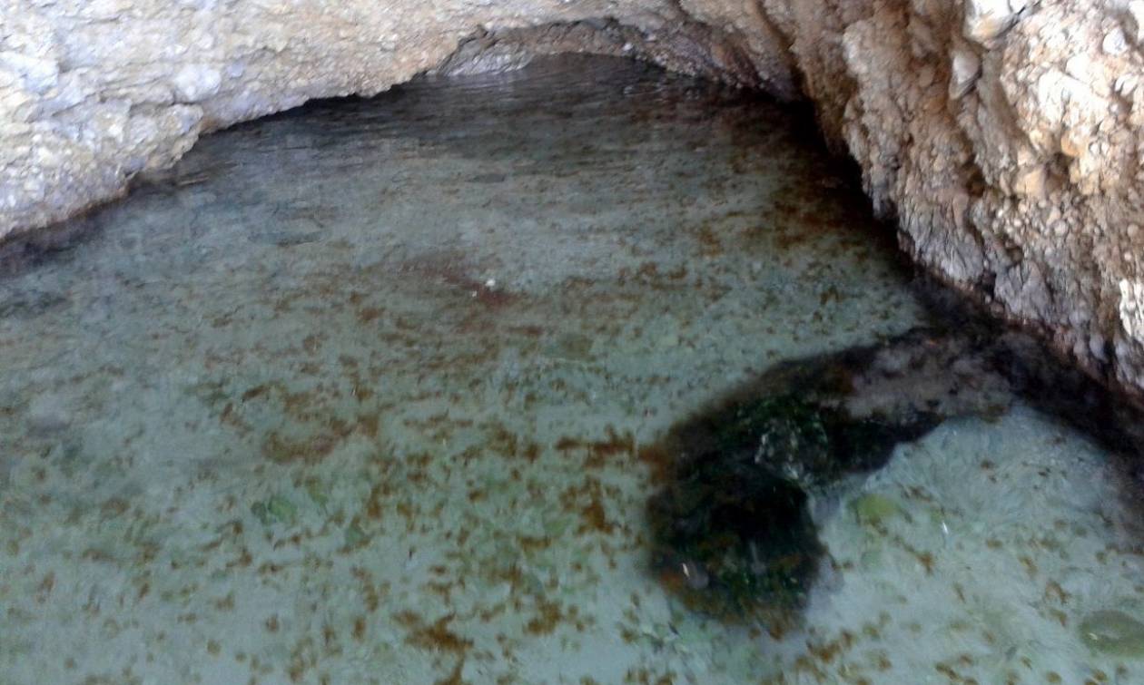 Ο εφιάλτης καραδοκεί στον Κορινθιακό: Αυτά τα βρέφη που μεγαλώνουν σε σπηλιά προκαλούν τρόμο! (pics)
