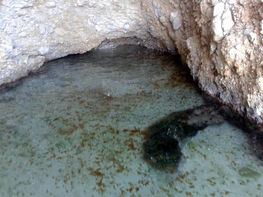 Ο εφιάλτης καραδοκεί στον Κορινθιακό: Αυτά τα βρέφη που μεγαλώνουν σε σπηλιά προκαλούν τρόμο! (pics)