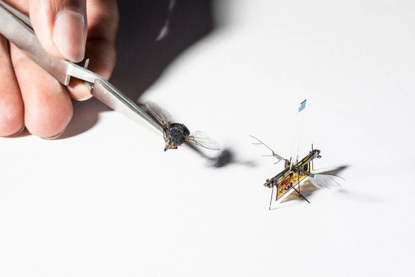 Βγαλμένο από το μέλλον: Αυτό είναι το πρώτο μικροσκοπικό ρομπότ-έντομο (Pics+Vid)