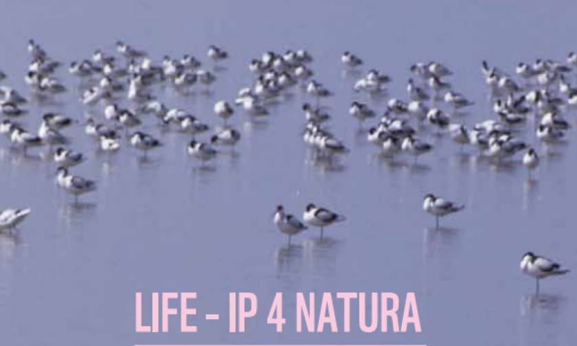 LIFE-IP 4 NATURA: «Επανεκκίνηση» για την προστασία της ελληνικής φύσης
