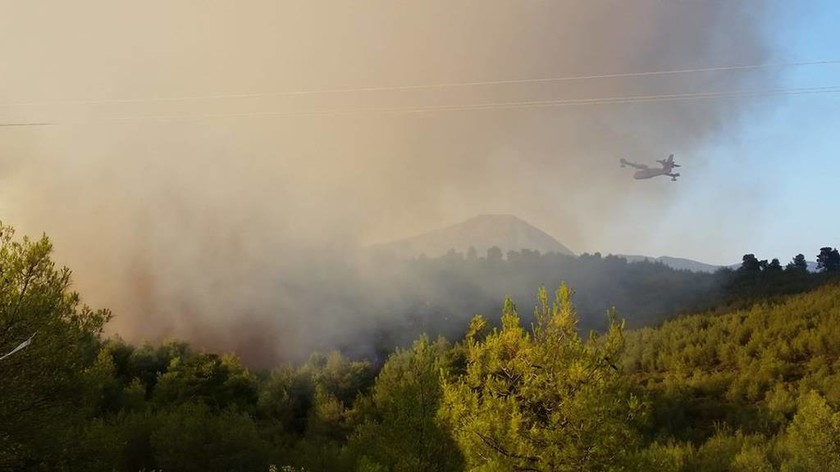 Μεγάλη φωτιά στην Εύβοια: Οι πρώτες εικόνες (pics)