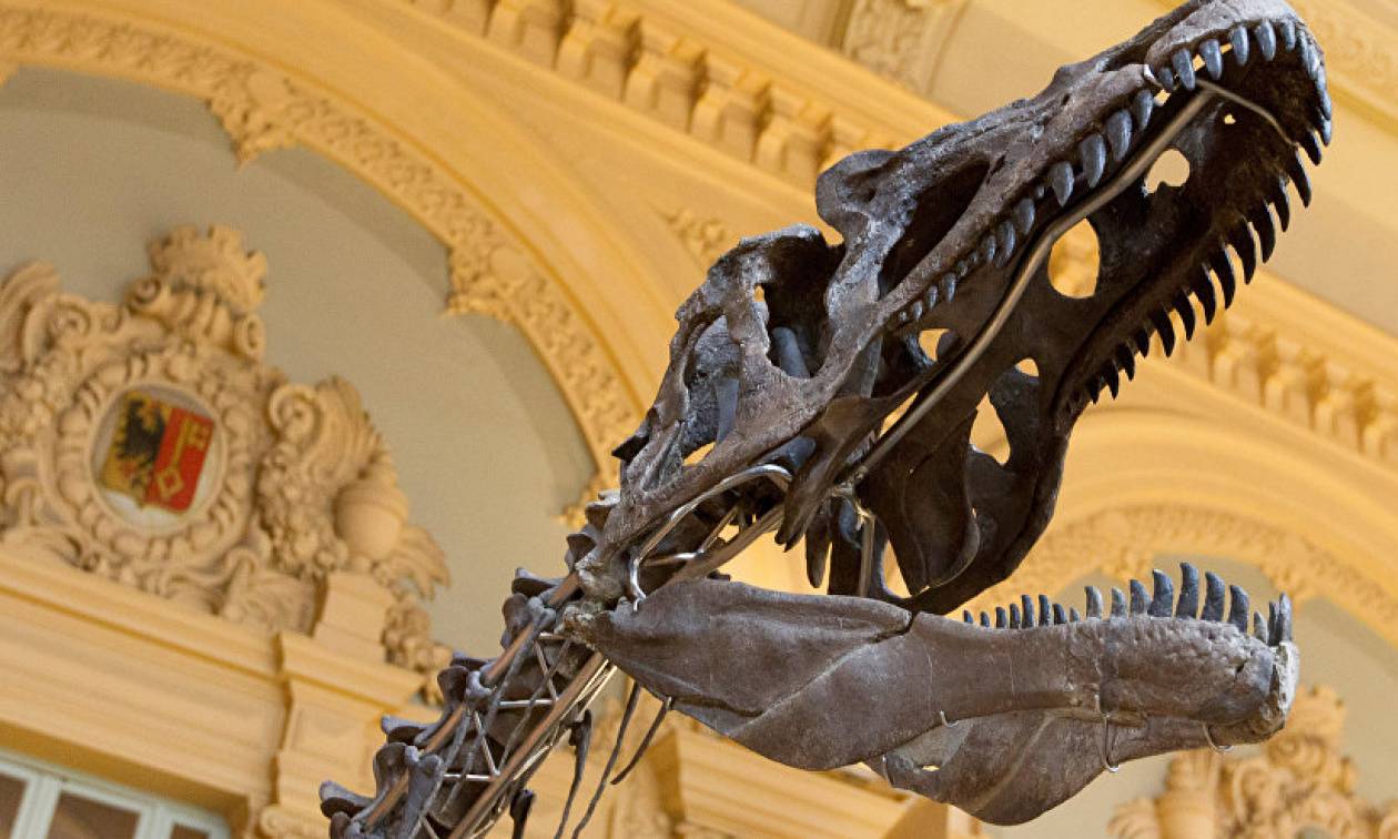 Σκελετός δεινοσαύρου πουλήθηκε σε ιδιώτη αντί 2,3 εκατ. δολαρίων