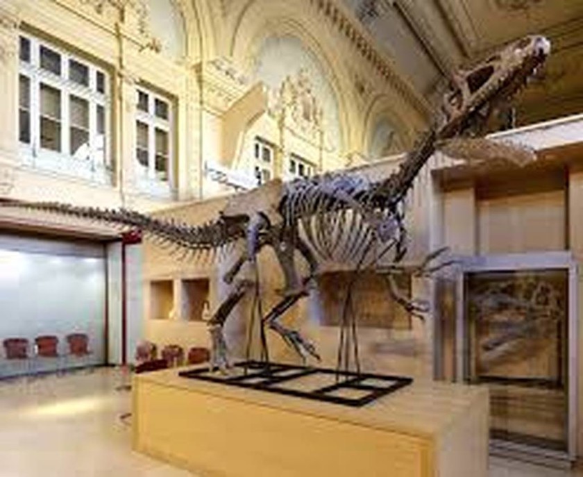 Σκελετός δεινοσαύρου πουλήθηκε σε ιδιώτη αντί 2,3 εκατ. δολαρίων 