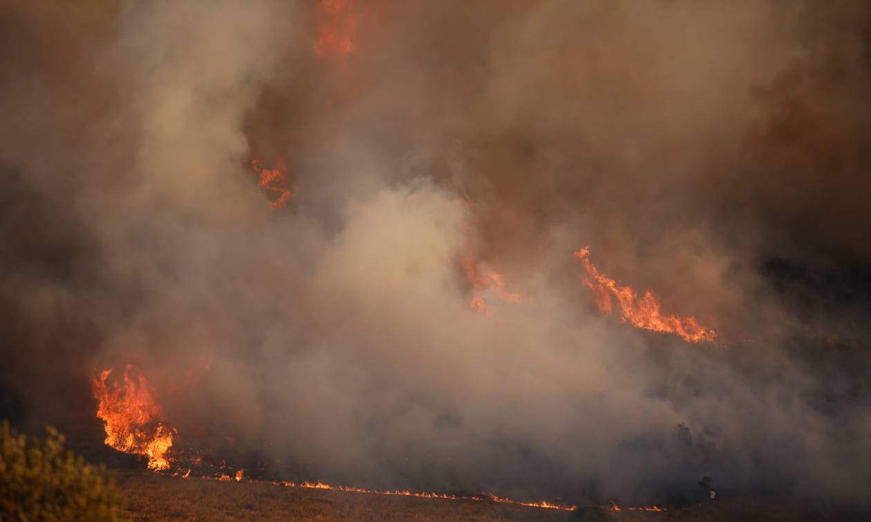 Χανιά: Υπό έλεγχο η φωτιά στα Μεγάλα Χωράφια Χανίων