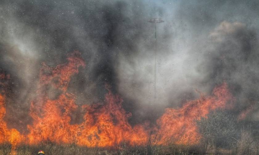 Φωτιά τώρα: Συναγερμός για πυρκαγιά στο Άγιο Όρος