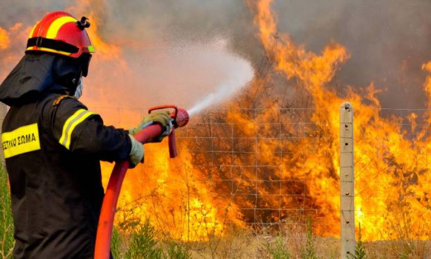 Μανωλαδα: Μεγάλη πυρκαγιά σε καταυλισμό