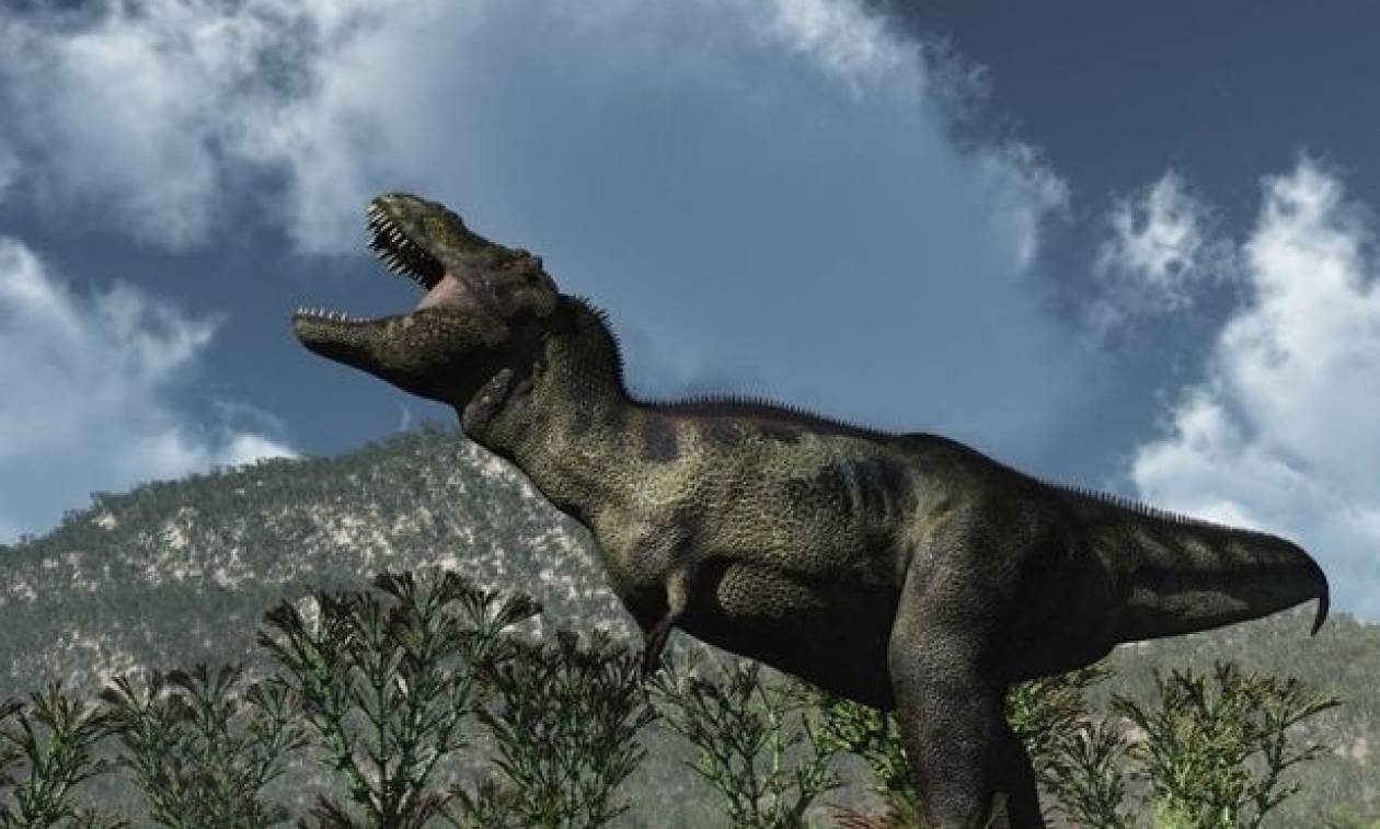 Οι δεινόσαυροι «ζουν»: Μυστηριώδης σκελετός στα «χέρια» ιδιώτη αντί 2,3 εκατ. δολαρίων!