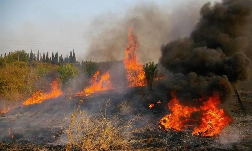 Φωτιά τώρα: Πυρκαγιά στην Αλεξανδρούπολη  