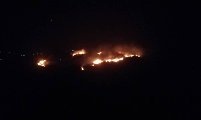 Κεφαλονιά: Μεγάλη πυρκαγιά στην Κοντογενάδα Παλικής