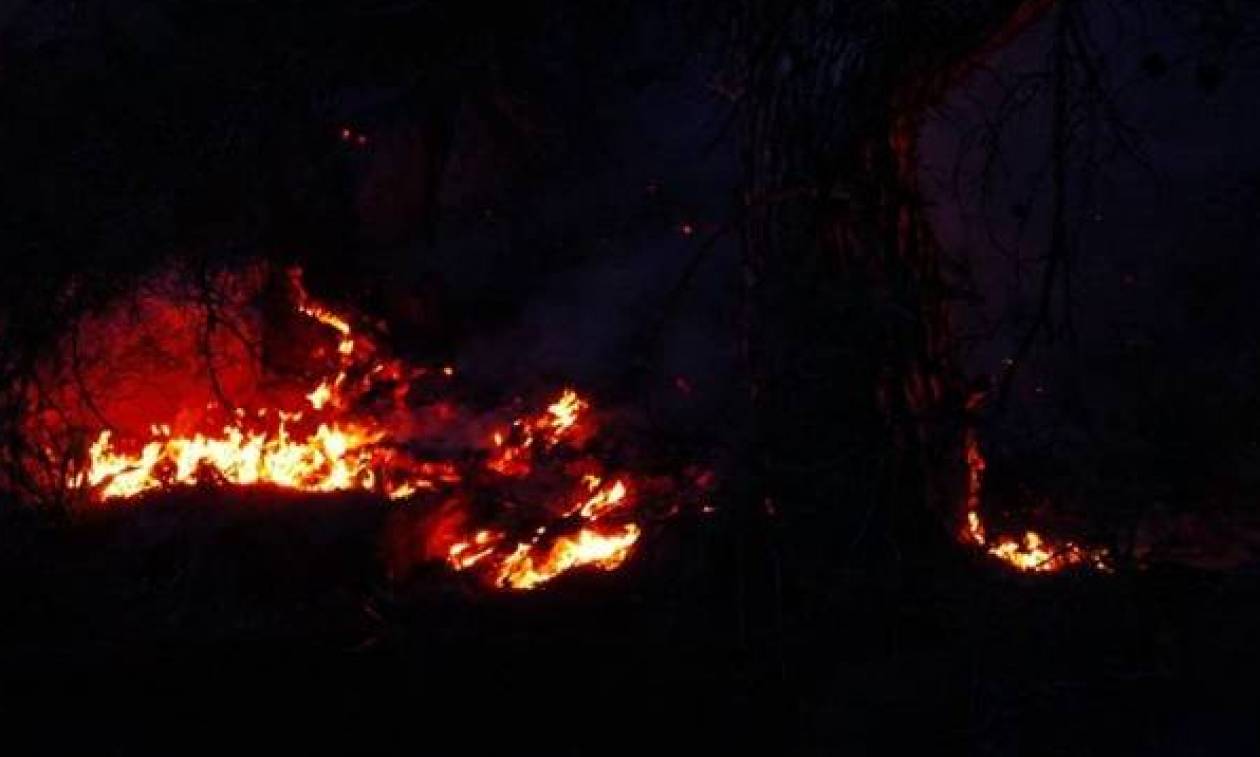 Λάρισα: Συναγερμός από πυρκαγιά στο Γεντίκι