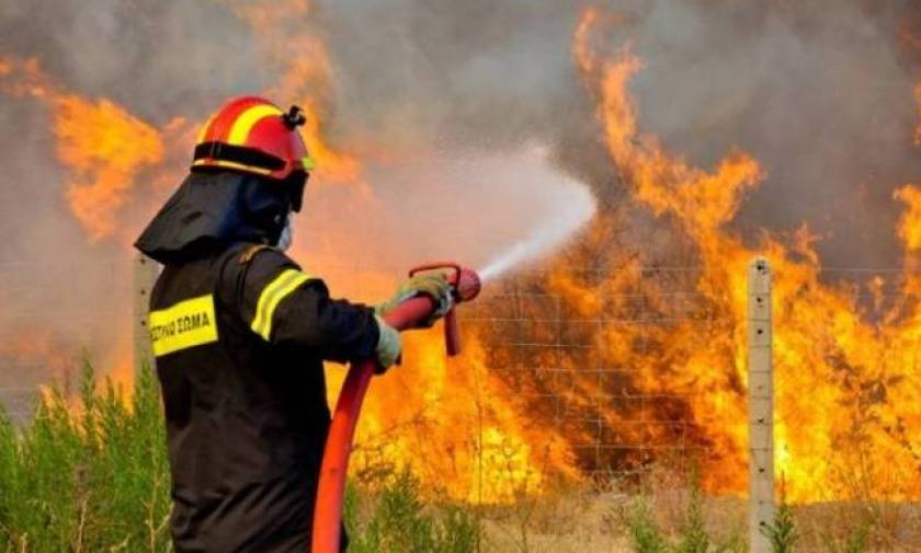 Μεγάλη φωτιά στη Βοιωτία: Απειλούνται αποθήκες καυσίμων
