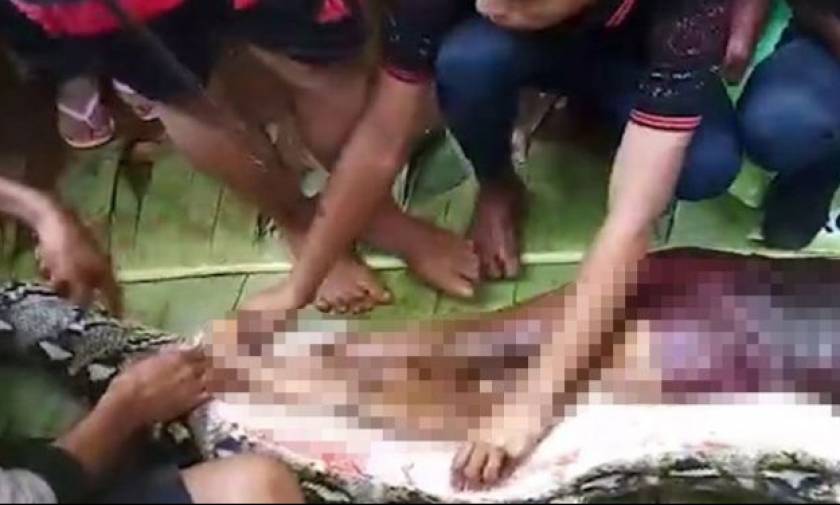 Σκληρές και αδιανόητες εικόνες: Βρίσκουν το πτώμα μιας γυναίκας στα σπλάχνα ενός πύθωνα!