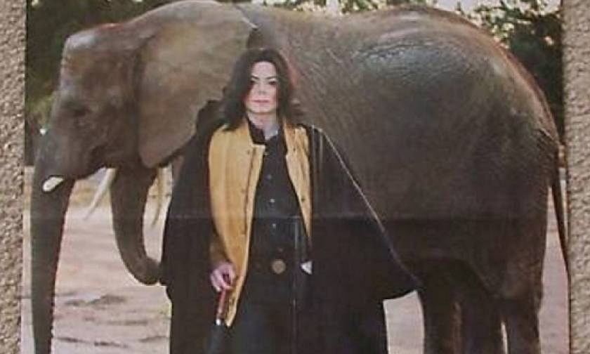 Ο ελέφαντας του Μάικλ Τζάκσον το ‘σκασε! (video)