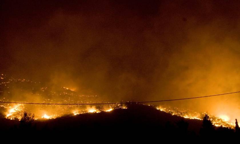 Κύπρος: Φωτιά ΤΩΡΑ στο κρατικό δάσος της Πάφου