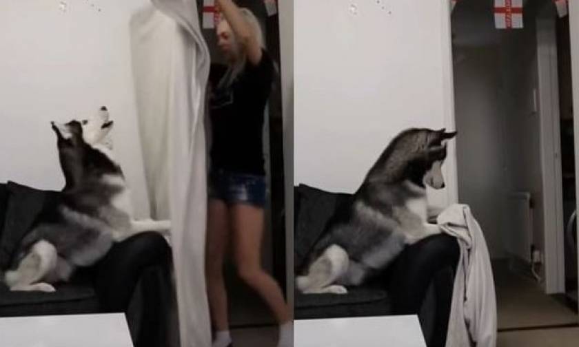 Αυτό είναι το «μαγικό τρικ» με τον σκύλο και την κοπέλα που έχει τρελάνει το ίντερνετ (video)