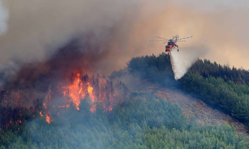 Φωτιά ΤΩΡΑ στο Μεσολόγγι - Δεν απειλεί κατοικημένες περιοχές