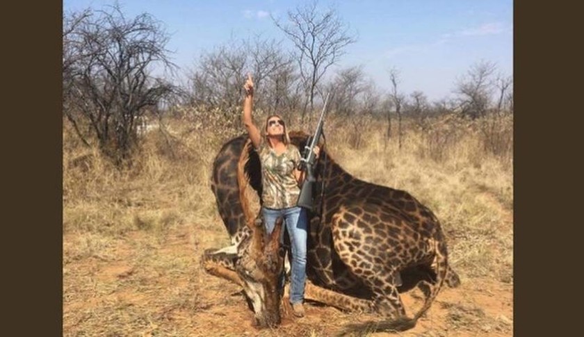 Οργή για τις φωτογραφίες κυνηγού με το πτώμα μιας σπάνιας μαύρης καμηλοπάρδαλης (pics)