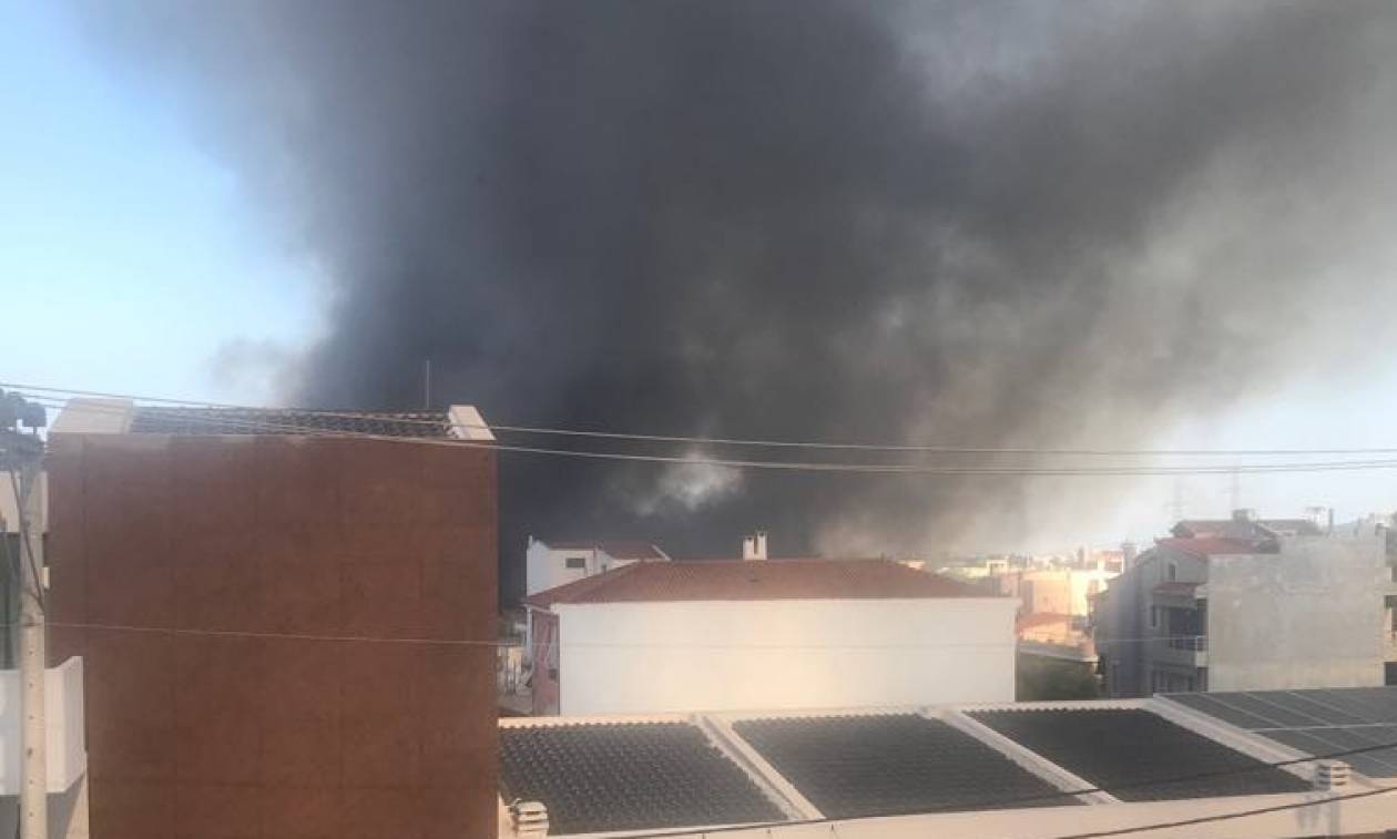 Φωτιά στο Γέρακα: Απείλησαν σπίτια οι φλόγες - Συναγερμός στην Πυροσβεστική (pics)