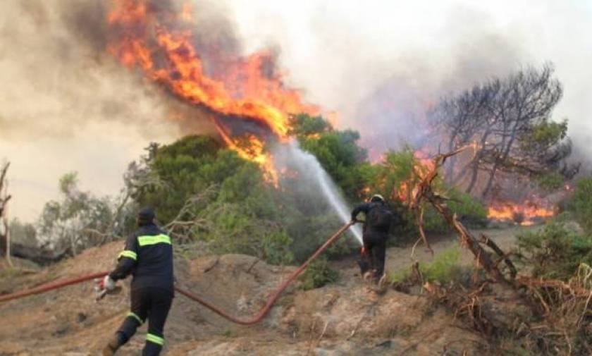 Φωτιά ΤΩΡΑ: Μεγάλες πυρκαγιές σε Χανιά και Κάρυστο