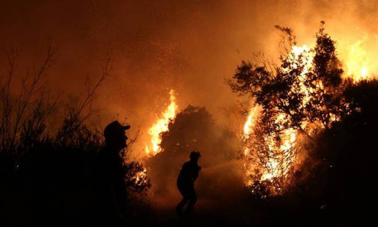 Φωτιά ΤΩΡΑ - Λακωνία: Υπό μερικό έλεγχο η πυρκαγιά στη Μονεμβασιά (χάρτες)