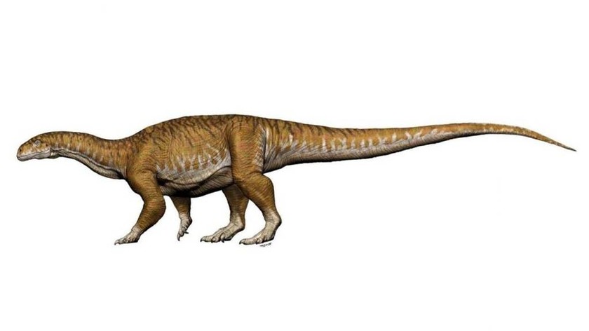 Ανακαλύφθηκε ο γηραιότερος δεινόσαυρος που περπάτησε ποτέ στη γη (Pics+Vid)