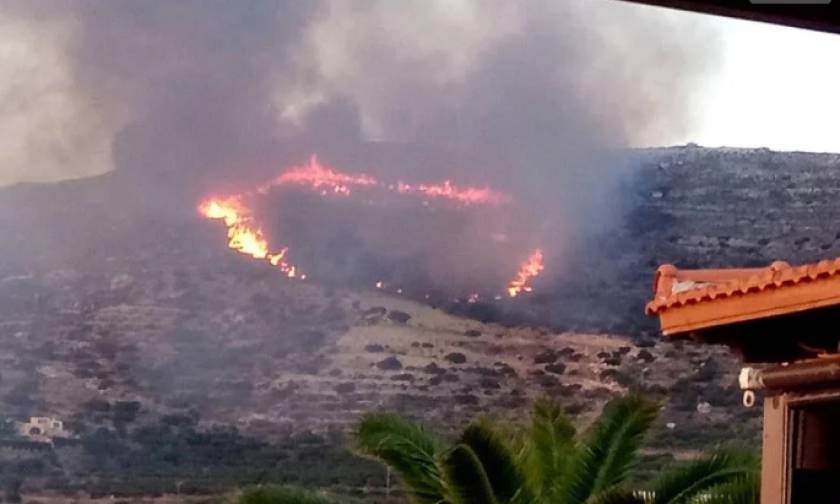 Συναγερμός στην Κρήτη: Μεγάλες πυρκαγιές στα Φαλάσαρνα και στο Αρολίθι