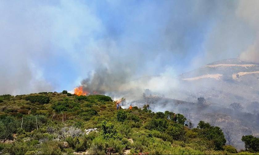 Φωτιά ΤΩΡΑ: Μεγάλη πυρκαγιά στη Λεωφόρο Μαραθώνος