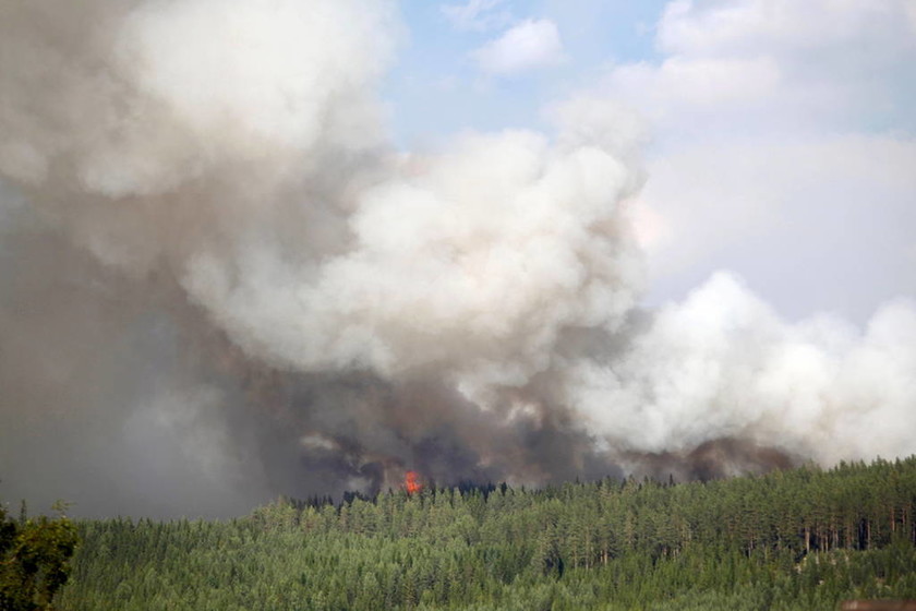 Στο έλεος των πυρκαγιών η Σουηδία: Καίγονται αρχαία δάση - Δείτε φωτογραφίες και βίντεο