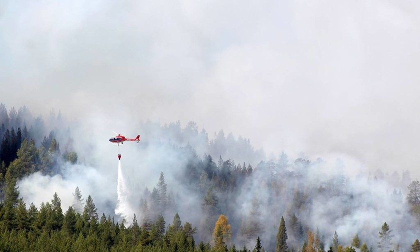 Στο έλεος των πυρκαγιών η Σουηδία: Καίγονται αρχαία δάση - Δείτε φωτογραφίες και βίντεο