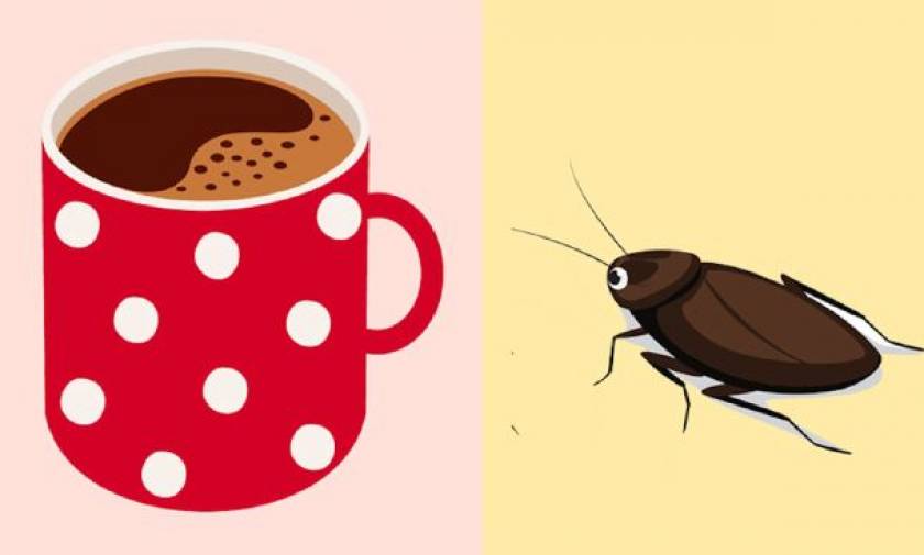 Πώς να απαλλαγείτε από τις κατσαρίδες χρησιμοποιώντας καφέ