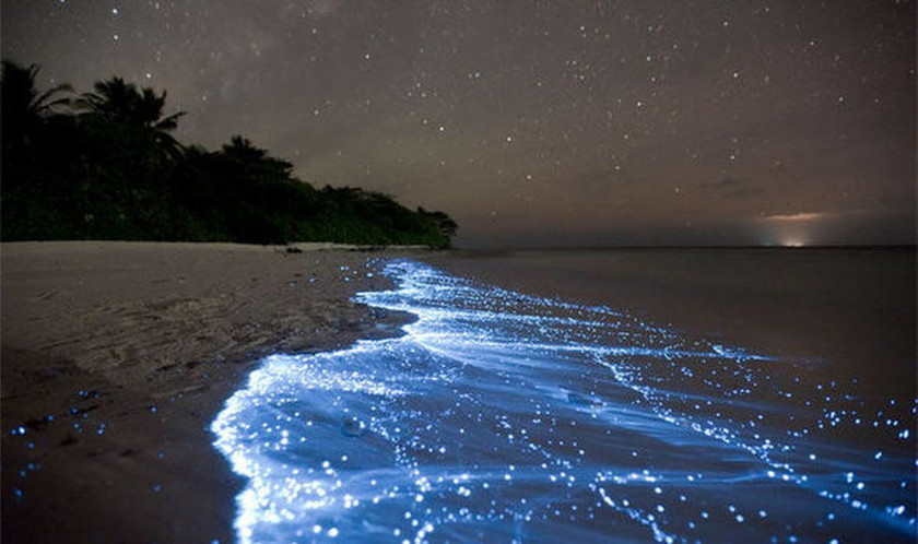 Παραλία στις Μαλδίβες… φωσφορίζει τη νύχτα (vid)
