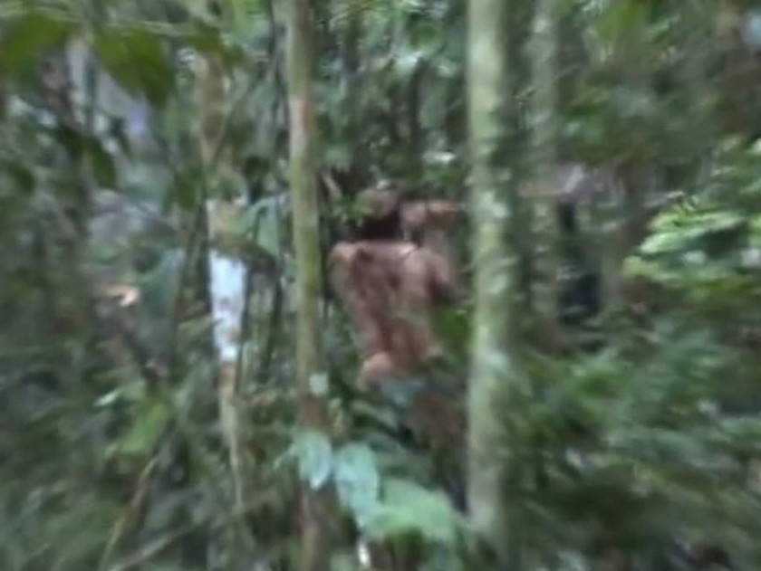 Ο τελευταίος επιζών φυλής του Αμαζονίου - Ζει μόνος στη ζούγκλα 22 χρόνια (vid)