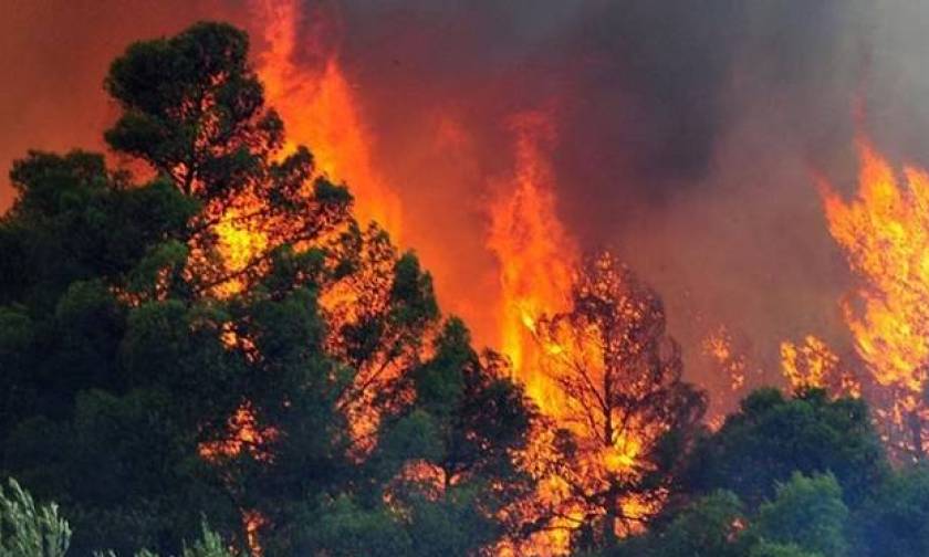Δύο πύρινα μέτωπα στην Κρήτη: Μεγάλη φωτιά ΤΩΡΑ σε Λασίθι και Αμάρι